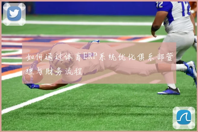 如何通过体育ERP系统优化俱乐部管理与财务流程
